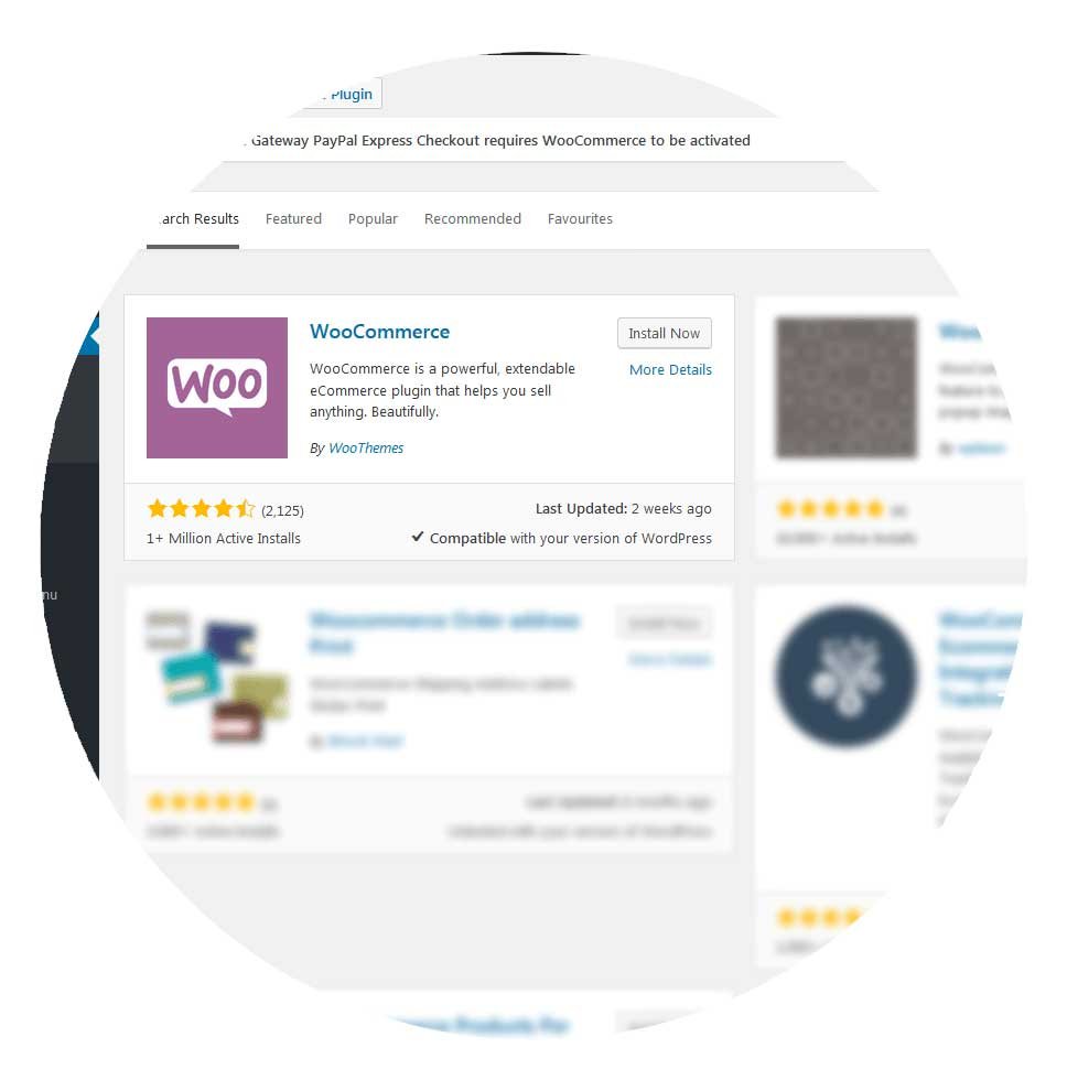 Boutique en ligne Woocommerce